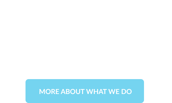 More About What We Do